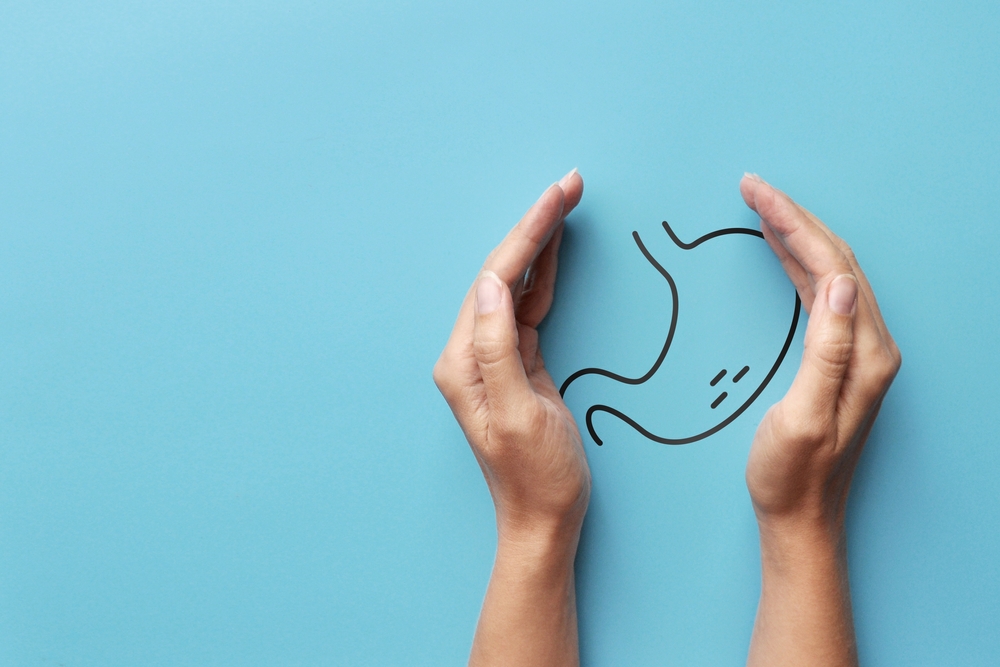 drawing of a stomach in the hands of a person. A symbol of protection and prevention of gastrointestinal diseases
