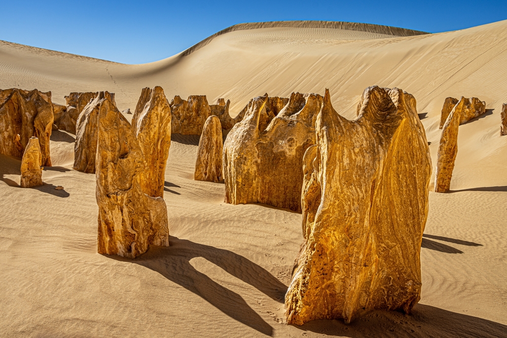 Large natural limestone structures with wind blown ripples in the yellow sand of the dunes in Nambung National Park. Part of the Pinnacles Desert, near the town of Cervantes, Western Australia.