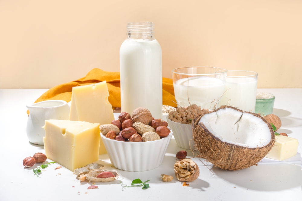 Vegan non-dairy products. Plant-based alternative dairy products – milk, cream, butter, yogurt, cheese, with ingredients - chickpeas, oatmeal, rice, coconut, nuts
