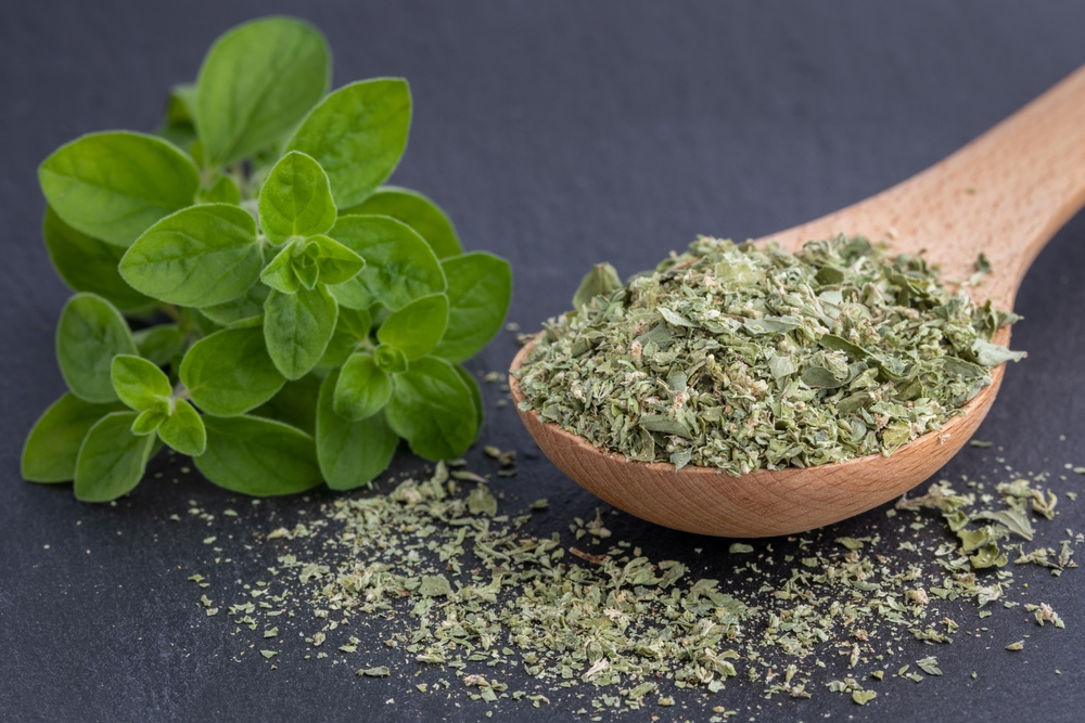 Dried marjoram or oregano on a black background, fresh marjoram o oregano leaves, spice