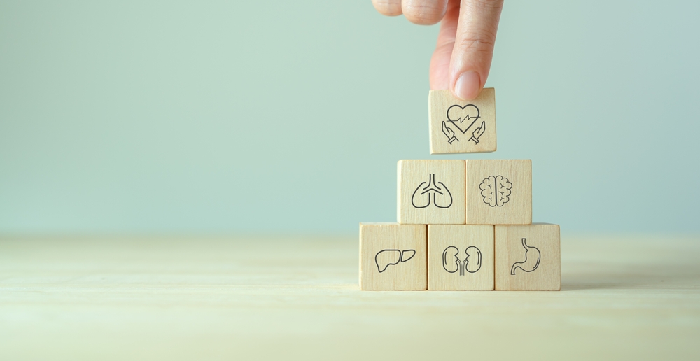 Internal organ protection. Critical illness insurance. Protection, treatment, prevention and patronage health in internal organs; heart, brain, kindneys, liver, lungs, stomach. Wooden cubes background