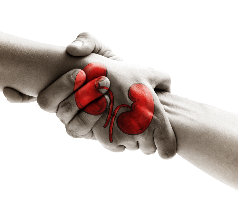 World Organ Donation Day concept with a kidney for transplant, saving life, and help