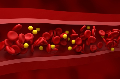 Normal level of LDL (lipoprotein) - cholesterol and rbc flow in the healthy vessel – Closeup view 3d illustration