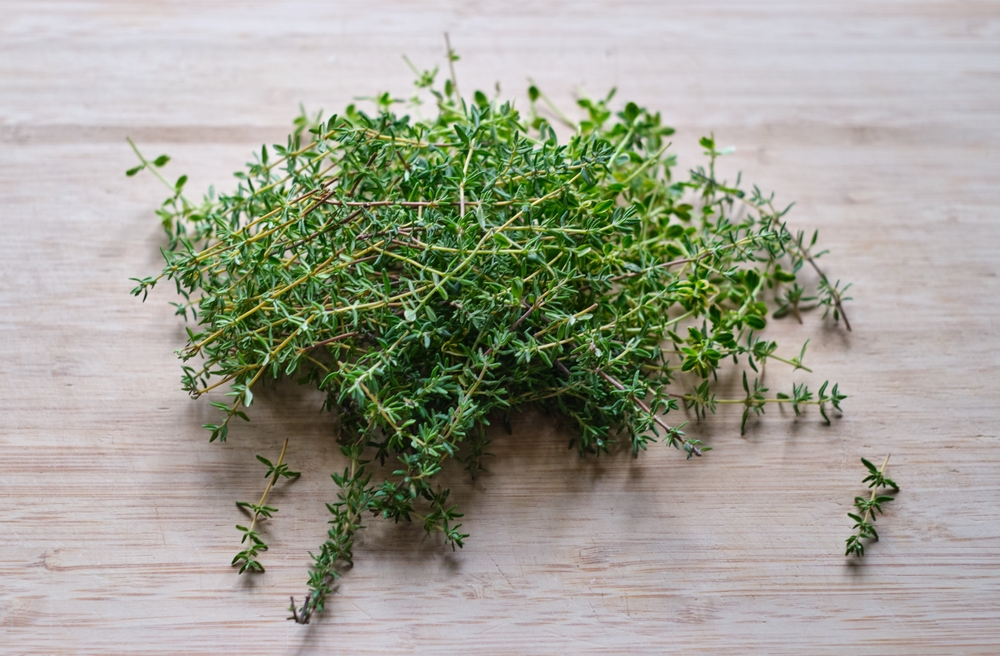 Freshly harvested thyme lying on a wooden board close-up