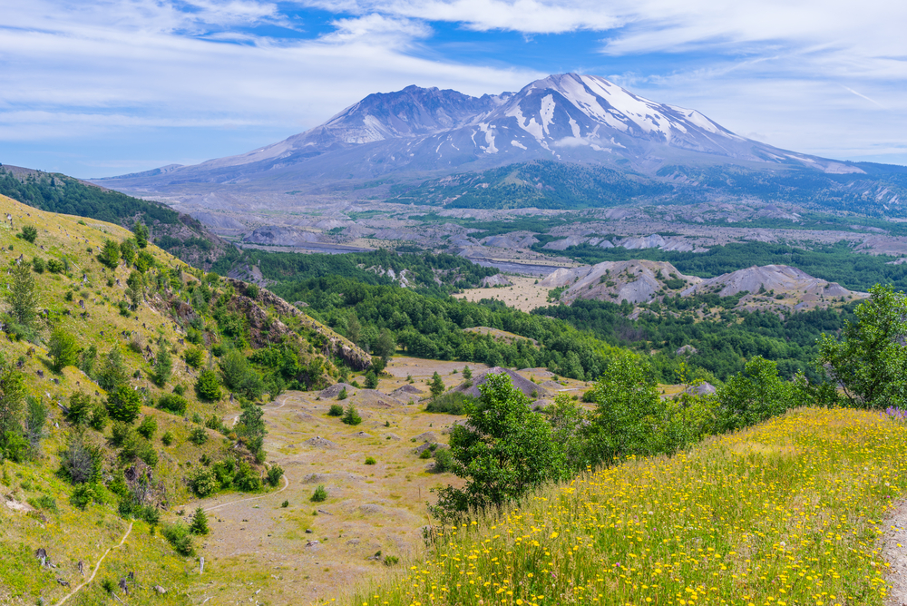 The landscape of the volcano is distorted by lava. Hummocks Trail. Mount St Helens National Park, South Cascades in Washington State, USA