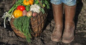 wicker basket filled with vegetables and a person with rubber boots standing next to it
