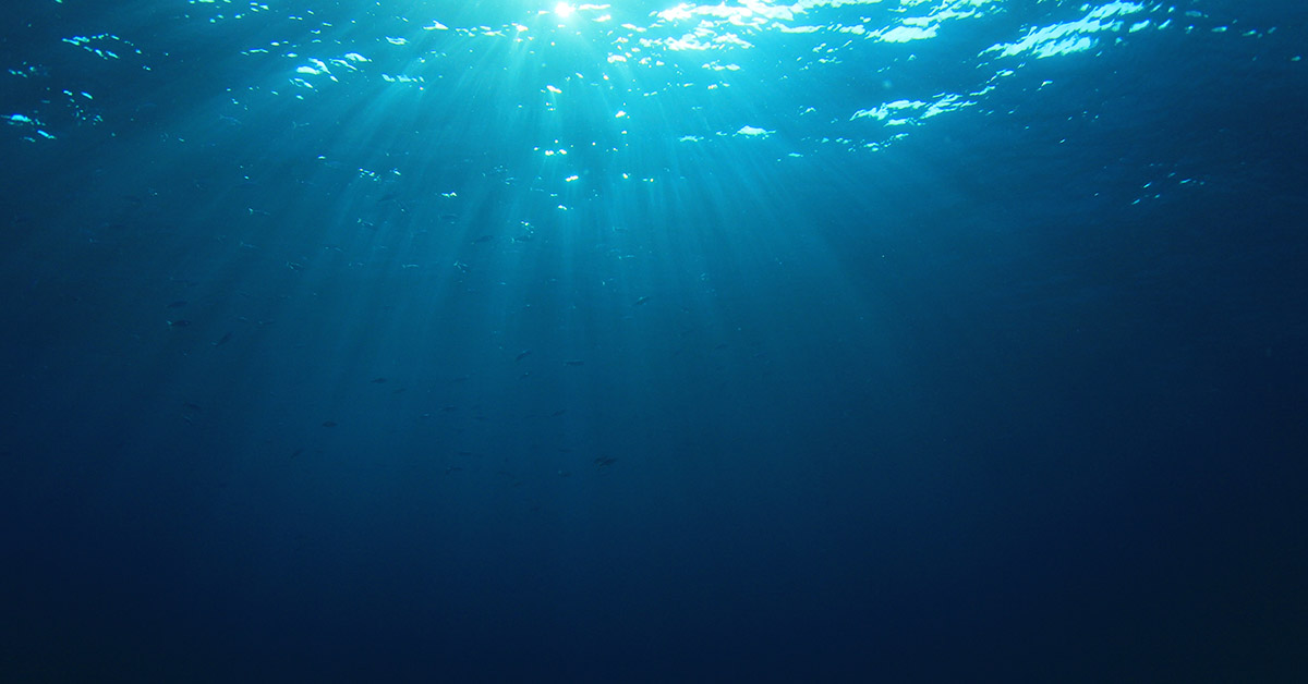 Incredible Footage Captures Moment Submarine Encounters Ancient Deep-Sea Creature Older Than Dinosaurs