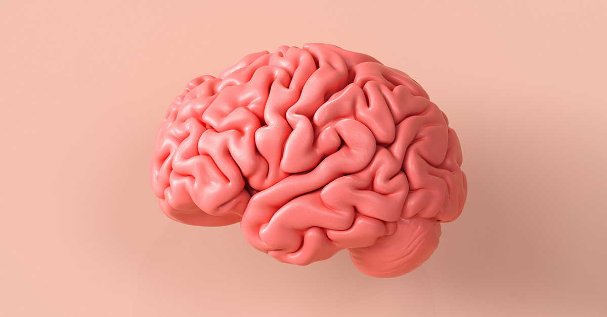 Inexpensive Daily Supplement Shows Potential to Improve Brain Function in Seniors