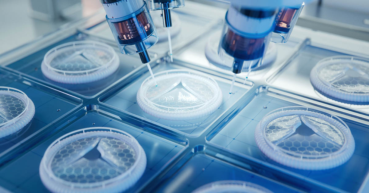 Scientists Have Successfully Grown ‘Mini Kidneys’ and Implanted Them Into a Live Subject