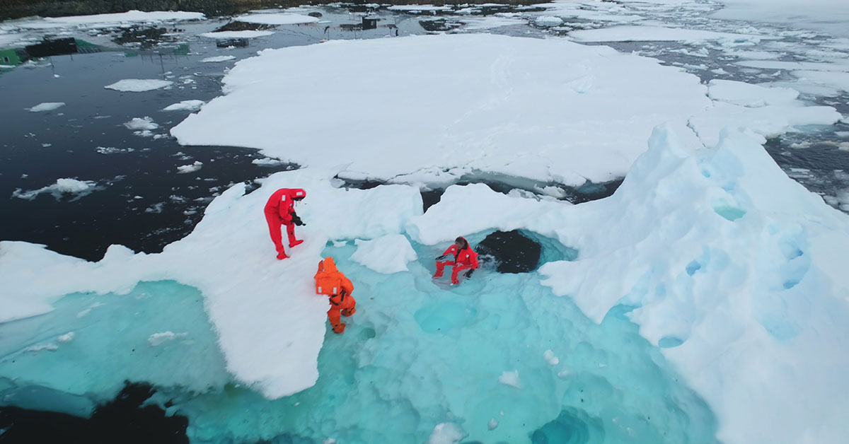 Scientist Trapped in Antarctica for 10 Months Sends Urgent Email Fearing for Their Life