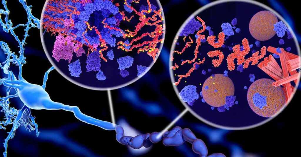 How New Research Is Targeting Toxic Tau Protein in Alzheimer’s Disease - Featured image