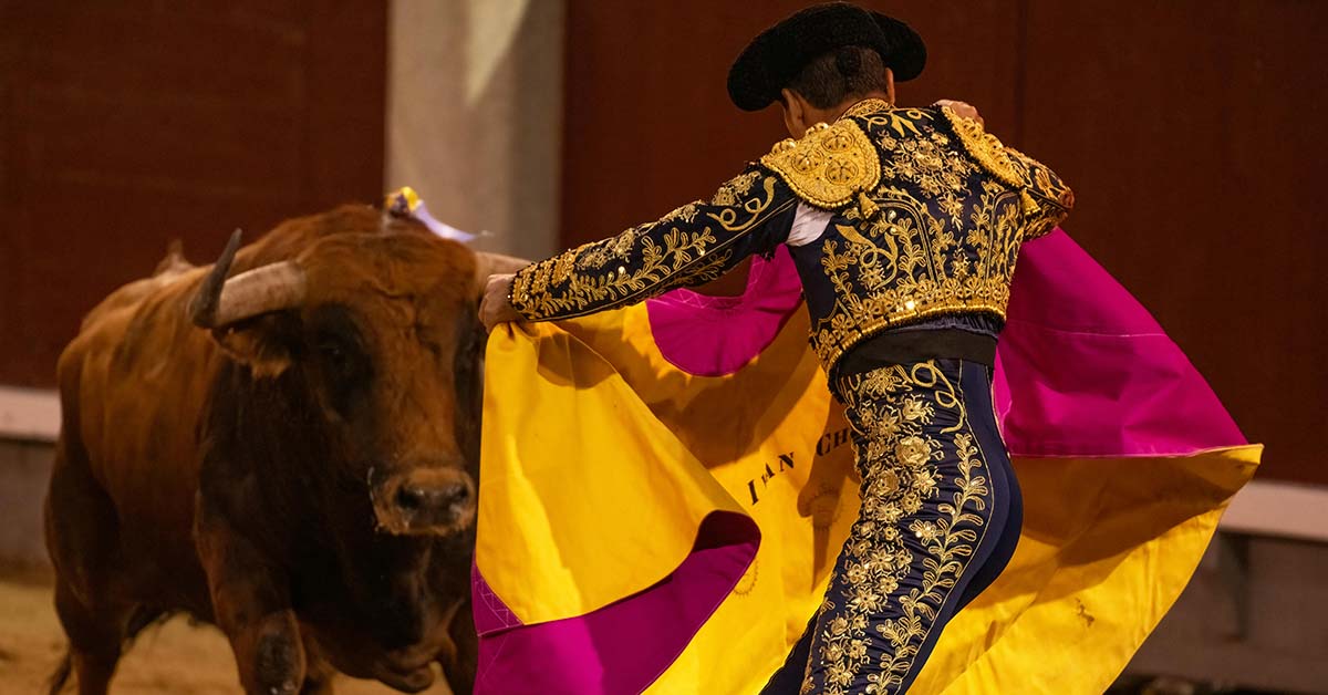 Mexico City Bans Bullfighting, Ending a 500-Year Tradition Amidst Widespread Protests