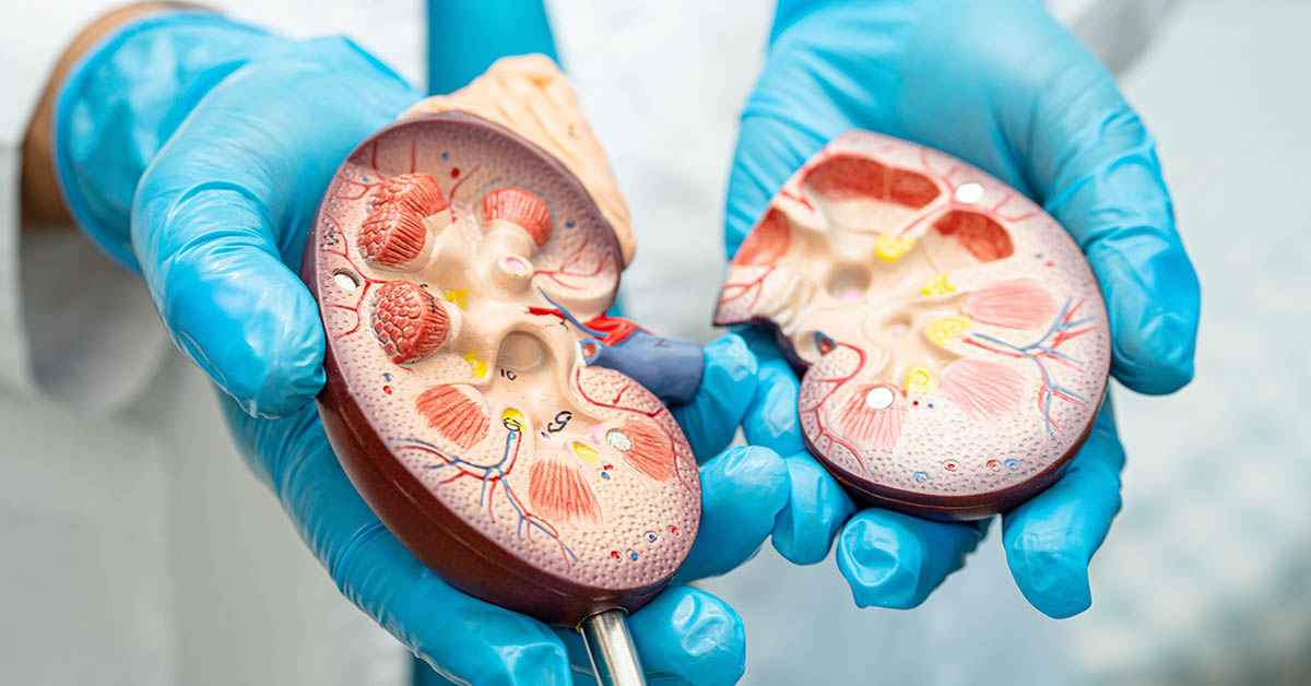 6 Key Factors That Can Influence the Progression of Kidney Disease