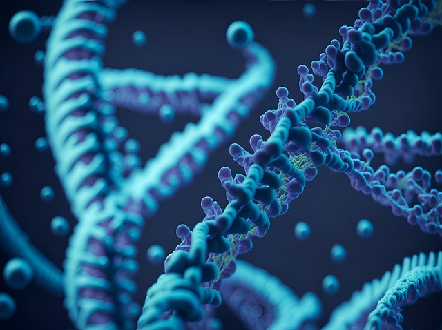 DNA strands