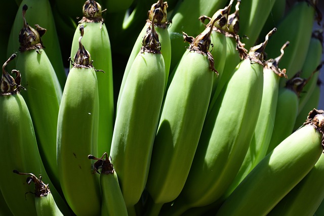 plantains