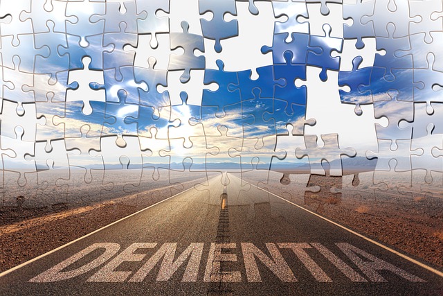 road to dementia puzzle