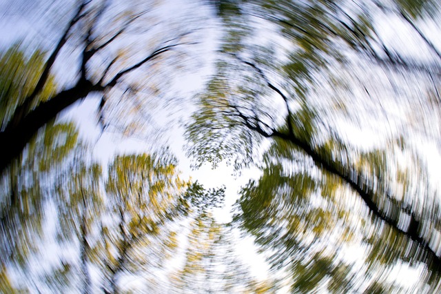 spinning trees