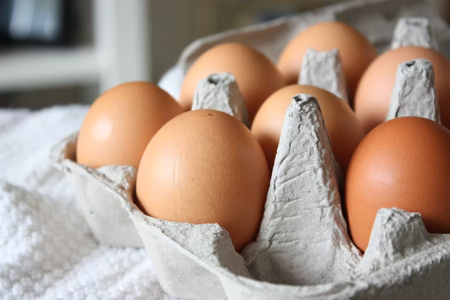 a carton of eggs