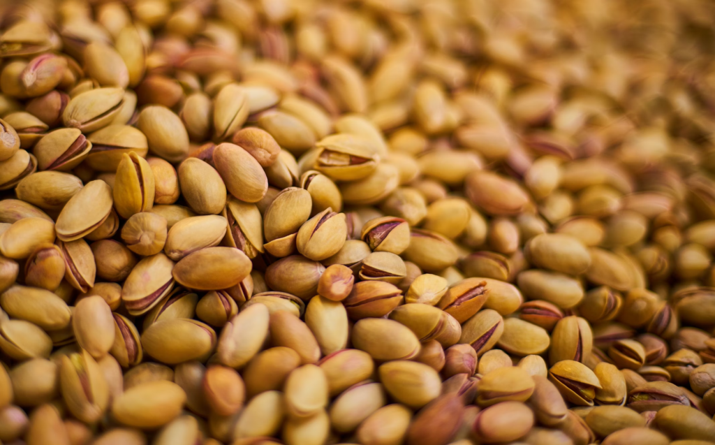 A pile of pistachios is shown close up, displaying the nuts in their natural state, just as they might look after being harvested from a Pistachio Tree. The shells are light brown with some red and purple tones, and a few are cracked open to reveal the green nut inside. The image captures the texture and colors of the pistachios, giving a sense of the plentiful harvest a healthy Pistachio Tree can produce.