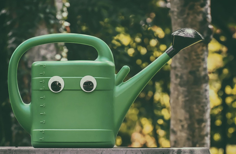 A cheerful green watering can, adorned with googly eyes, sits on a stone surface in a garden setting. The playful addition of the eyes gives it a friendly and animated appearance, as if it's ready to help nurture any plant in the garden. The background features soft, blurred greenery and sunlight filtering through the leaves, creating a warm and inviting atmosphere for gardening.