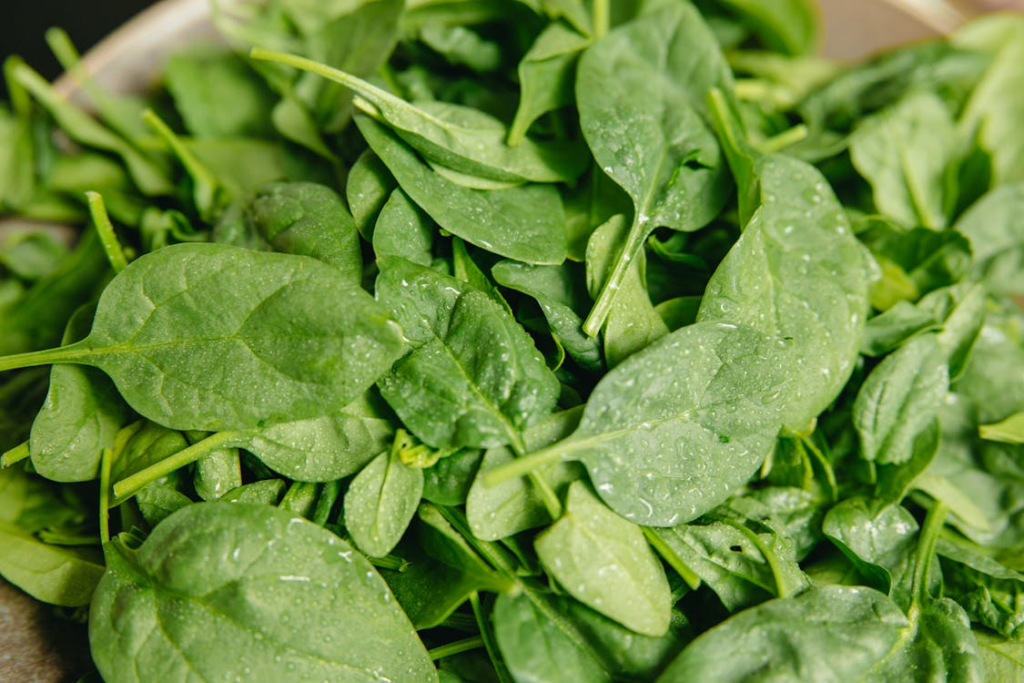 Green Leaves in Close Up Photography