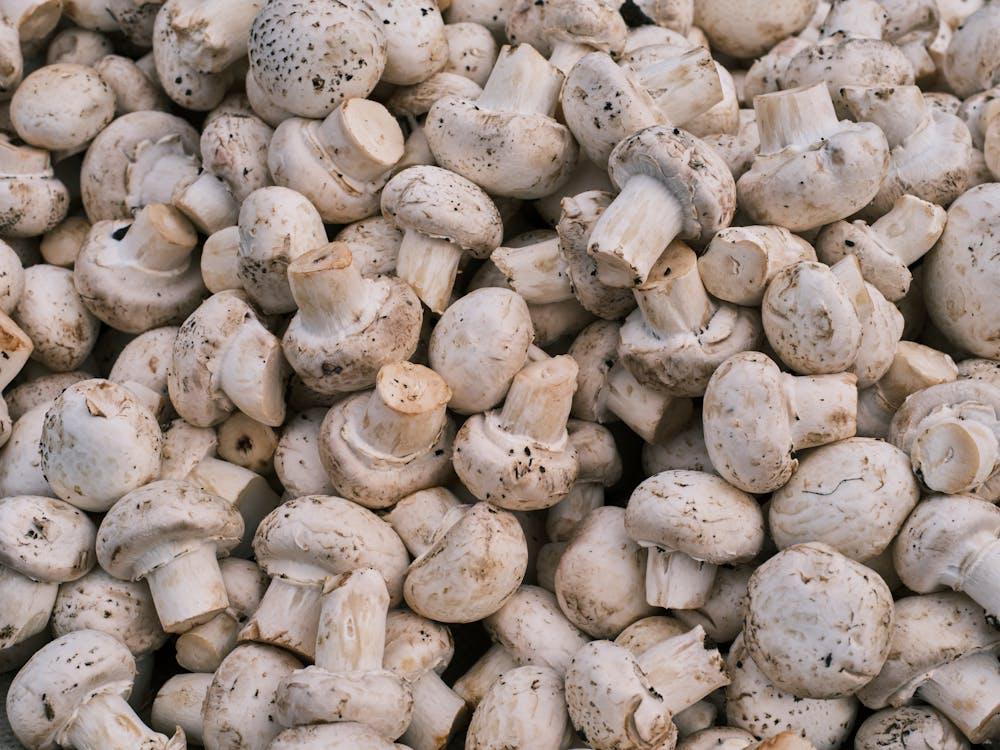 Fresh white button mushrooms with visible dark specks and soil residue, commonly found in supermarkets worldwide. These commercially grown mushrooms typically use peat as a growing medium.
