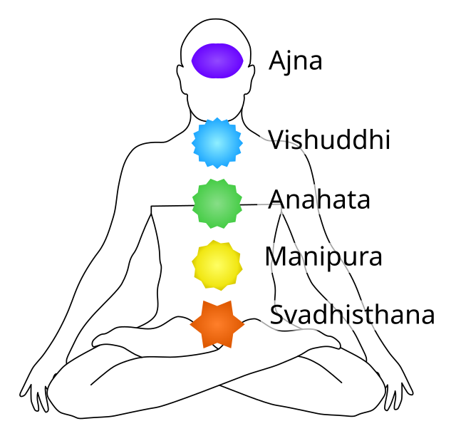 Diagram of the seven chakras in a meditating figure outline, with each energy center labeled and represented by different colored symbols from the root to the crown.