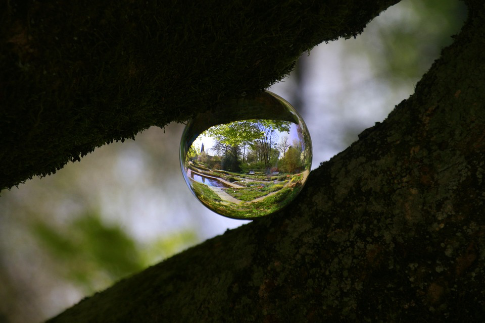 Close-up nature photograph of a water droplet suspended between two sections of tree bark. The droplet acts as a natural lens, containing a miniature, inverted view of a landscape with trees, water, and a path, demonstrating how perception can be contained within a tiny sphere.