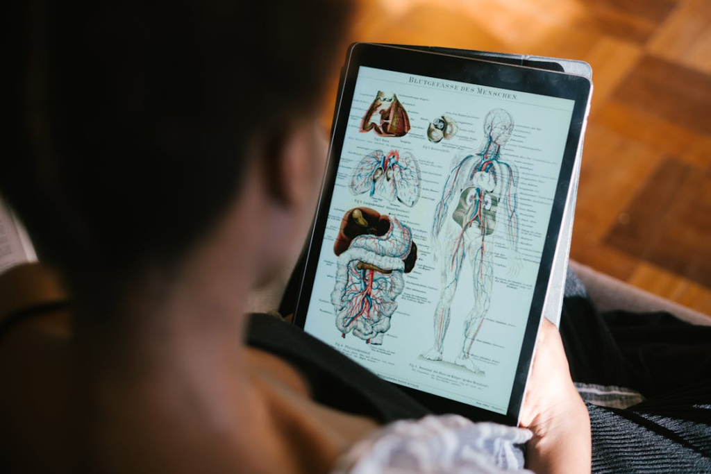 A woman examines a medical diagram on a tablet, emphasizing the importance of heart health and overall well-being.