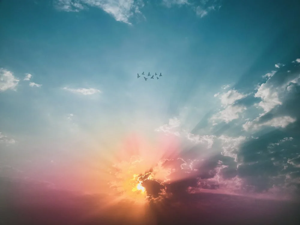 A dramatic sunrise landscape with sunbeams breaking through clouds in a blue sky. The sun creates a golden glow with pink and purple hues spreading across the horizon. Small silhouettes of birds are flying in formation in the distance. The composition captures the natural light phenomenon with striking colors.