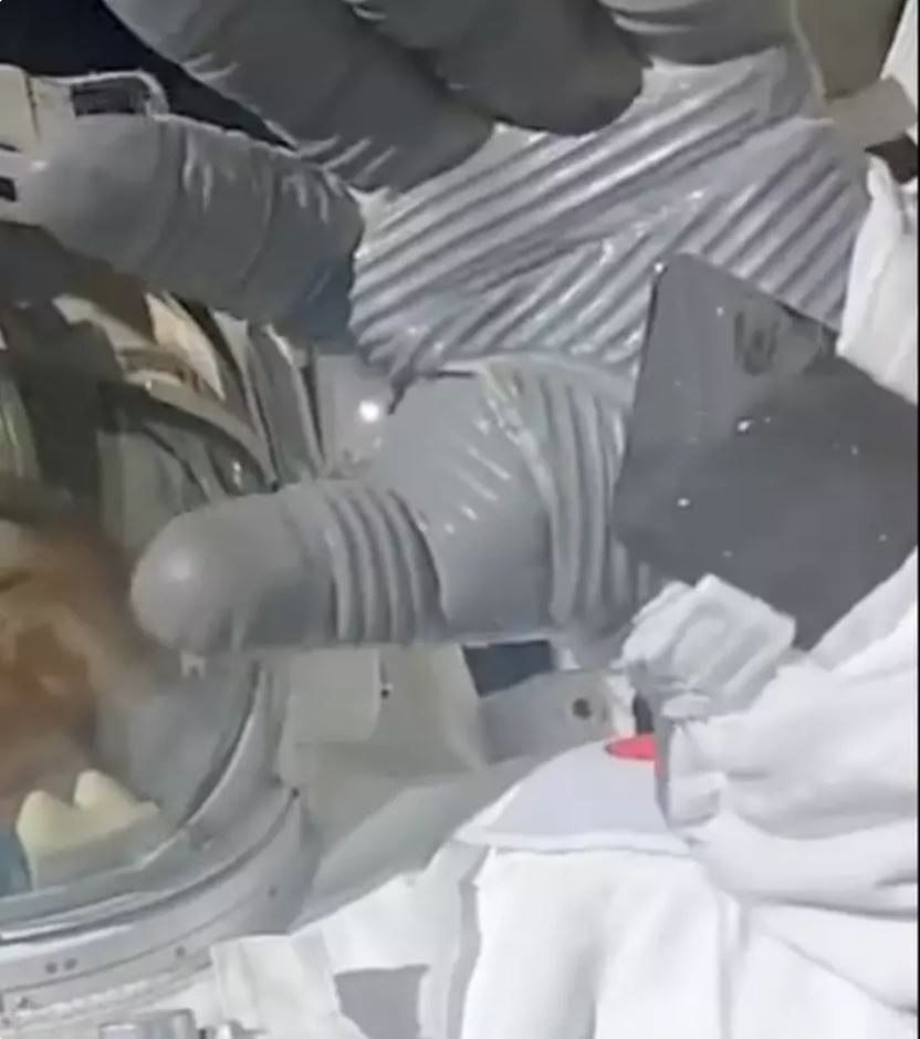 Astronaut waves to the camera. 