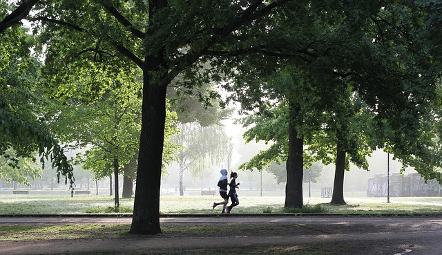 a couple of people running in a park