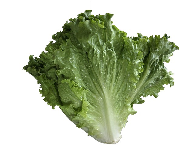 lettuce