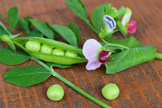green peas