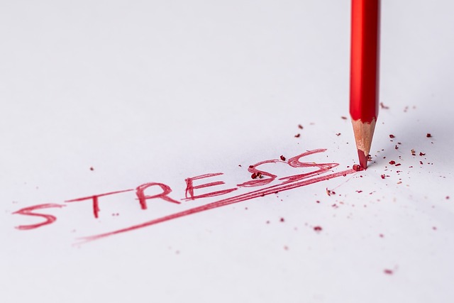 sress written with red pencil