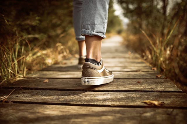 person walking on pathway outdoors