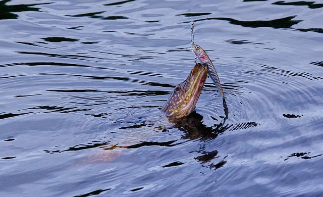 pike