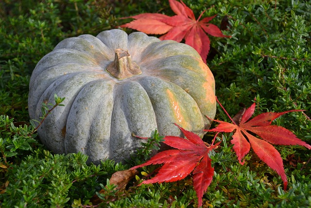 winter squash