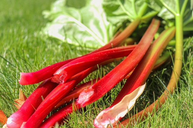 rhubarb stalks