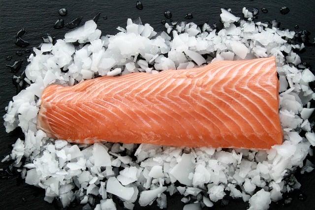 salmon