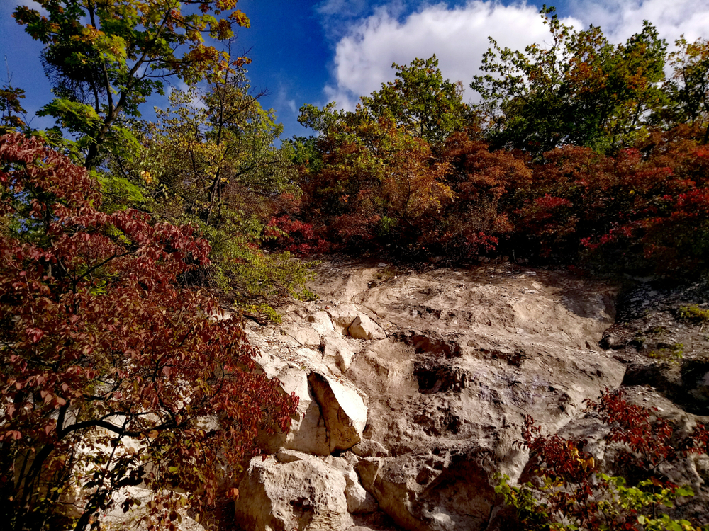 Cretaceous mountain in autumn