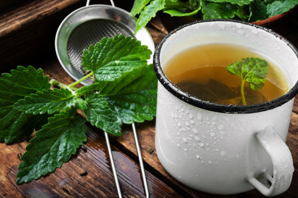 Fresh natural green melissa herbal tea in cup.Relaxation healthy beverage
