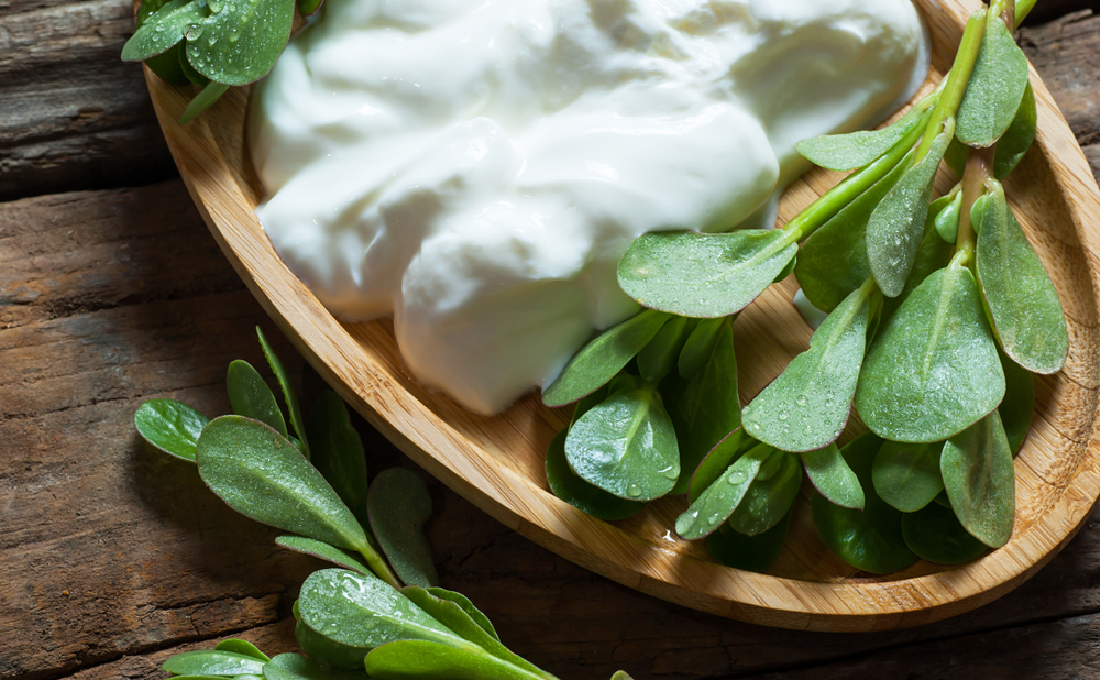 Fresh purslane (Portulaca oleracea), edible weeds with yoghurt on wooden table. Vegetable containing most Omega 3