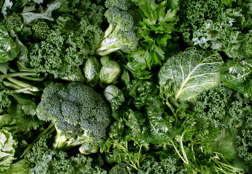 Green vegetables and dark leafy food background as a healthy eating concept of fresh garden produce organically grown as a symbol of health as kale swiss chard spinach collards broccoli and cabbage.
