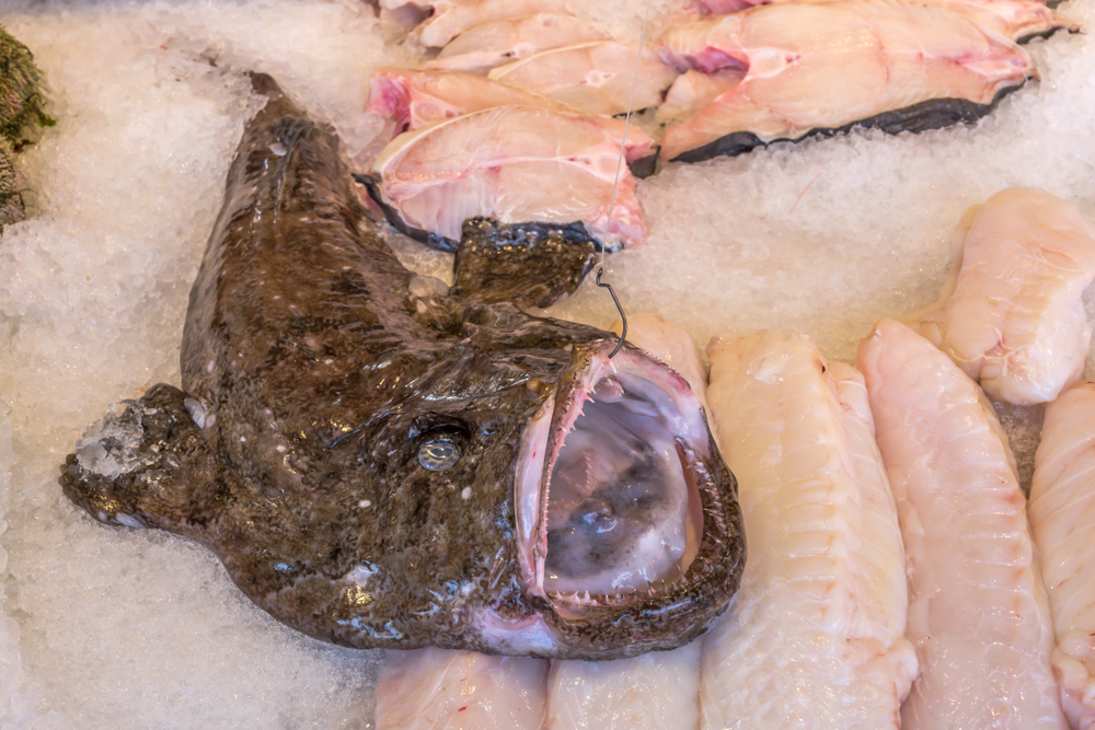monkfish on ice at market stall, shot under bright summer light at Bergen, Norway