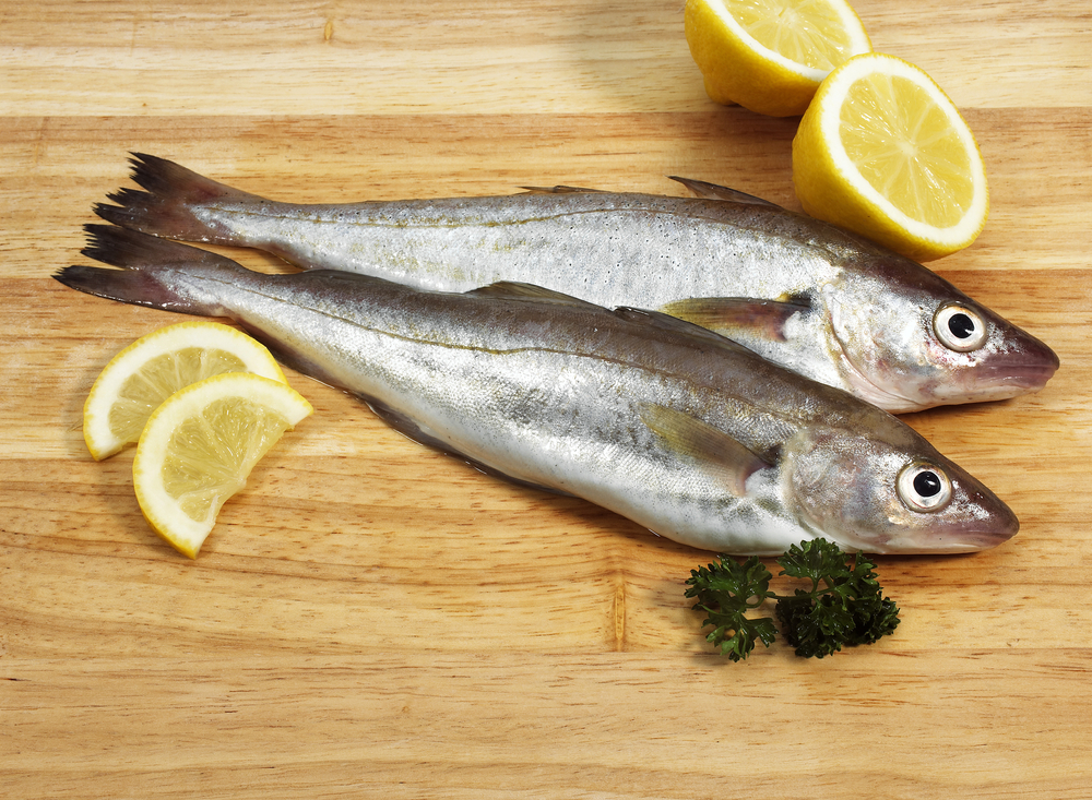 Fresh Whiting, merlangius merlangus, Fishes with Lemon and Parsley