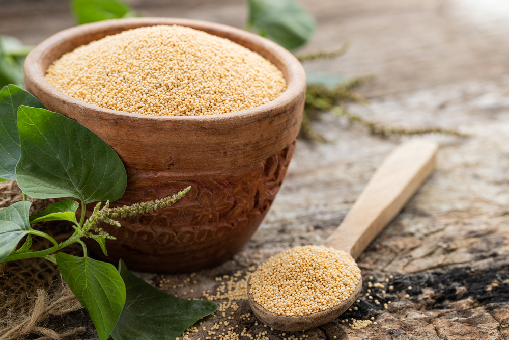 Raw Organic Amaranth Grain in a Bowl witn wooden spoon and Amaranth plant on Rustic wooden background. Healthy colorful gluten free food concept