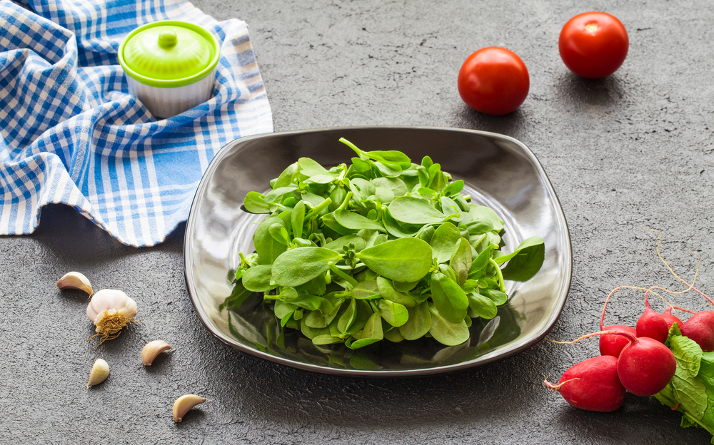Purslane salad is a type of salad. Purslane salad is a healthy food source. It is a type of salad used in diets.