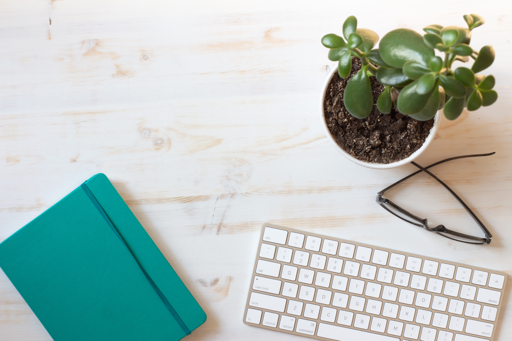 Home office desk with jade plant, notebook, glasses and keyboard
