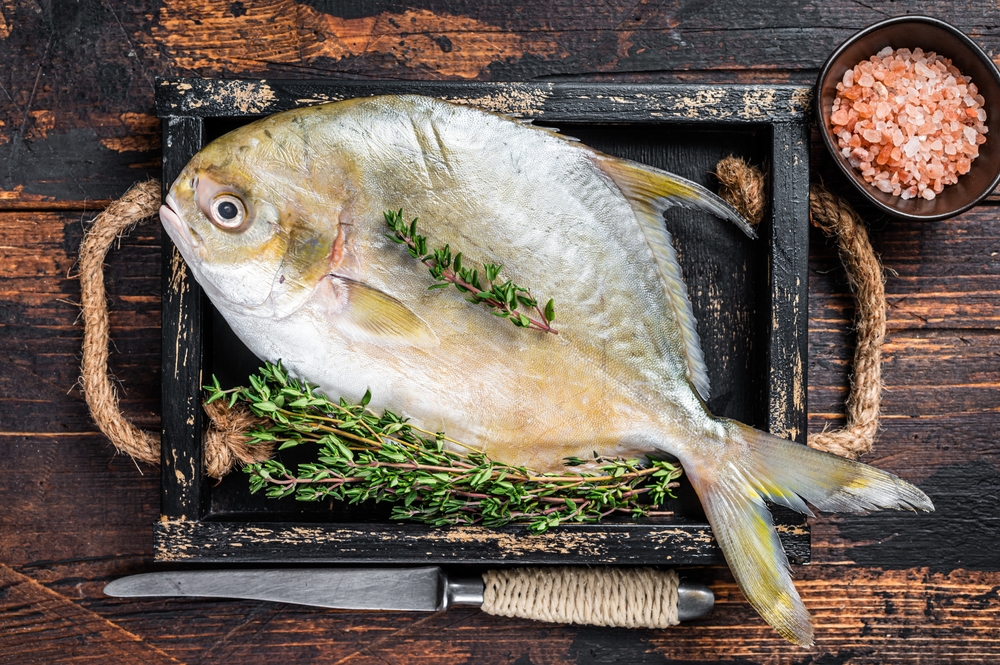 Raw fish butterfish or pompano with herbs in a wooden tray. Dark wooden background. Top view
